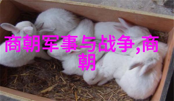 明朝那些事背后的历史考古探究副厅级干部作者的文史研究路径