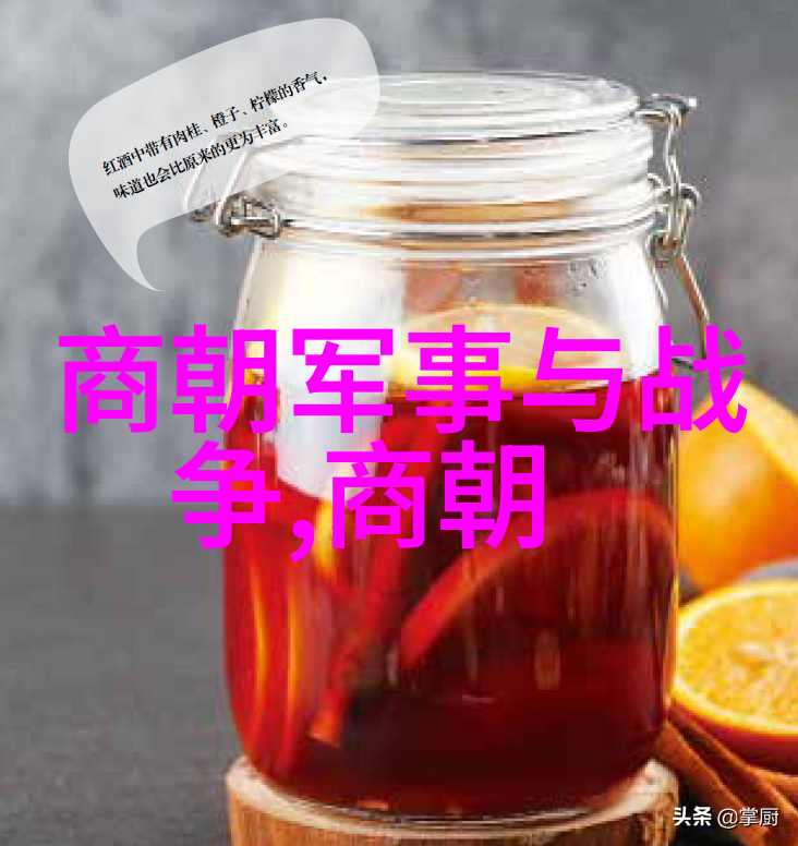 红楼梦中的贾府家族背景
