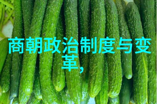 东南风华南朝宋的盛世序章