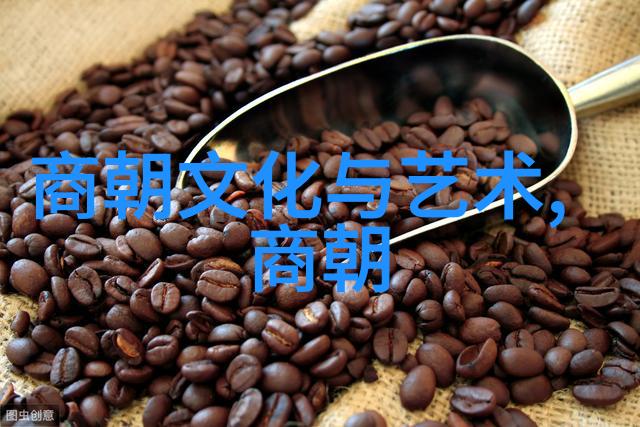 938wyt探索未知宇宙的奇迹科技