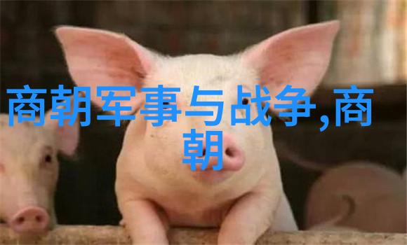 明末民变与清军入关1644年的那一天是怎样决定了中国命运