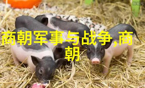 从太祖到玄宗明朝每一位皇帝都有其独特时期