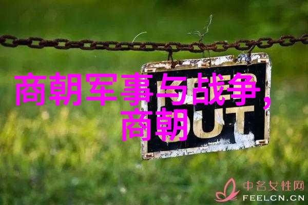 男友的扇贝执着揭秘背后的情感密码