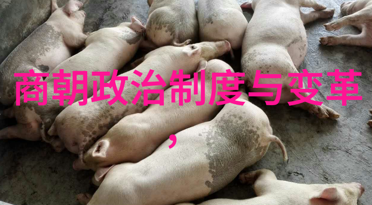 明朝十大著名战争我眼中的那场场血与火明朝十大战役