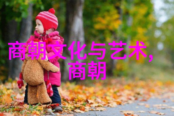 地理探索-揭秘古丝绸之路上的土木堡一段历史的足迹