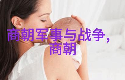 元朝比较出名的事件-辽阳之战与忽必烈登基探秘元朝最显赫的历史时刻