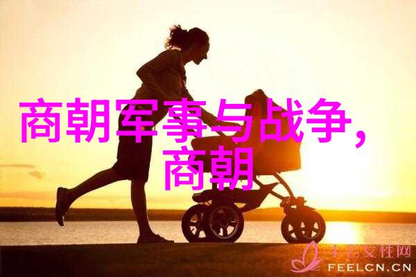 盛衰交替中国历代王朝的辉煌与沉沦