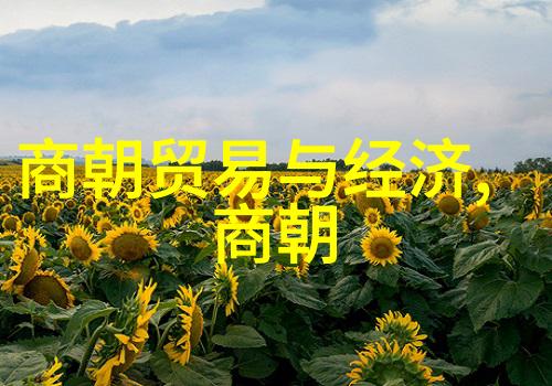 明清两朝贫富比较穷困与变迁的历史篇章