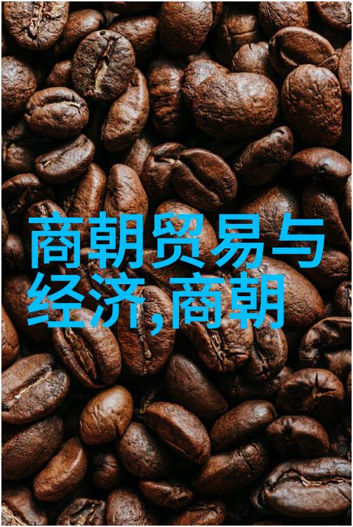 明朝煌烂岁月从永乐北伐到天地会的秘密变革