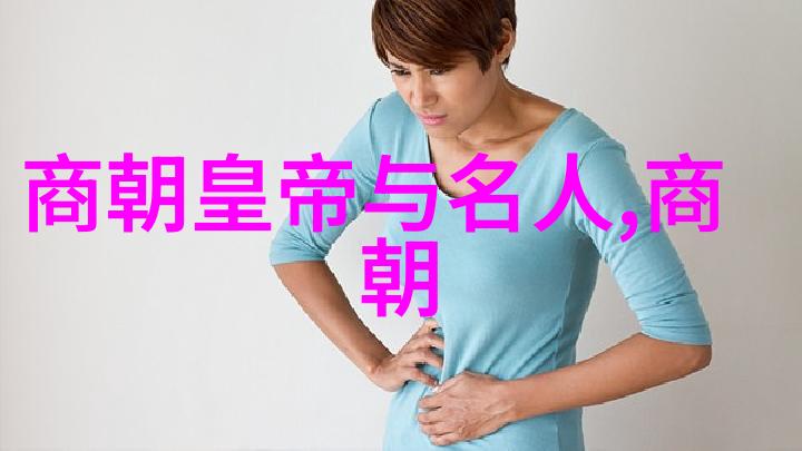 明清对比历史垃圾与治国智慧的探究