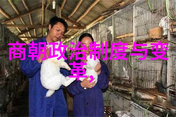 历史朝代时间轴图片-穿越时空的历史长河中国历朝历代的辉煌与变迁