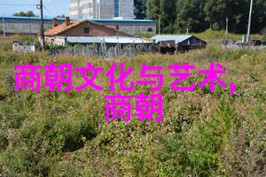历史名人的轶事趣闻揭秘布达拉宫的三大神秘之谜追踪极乐之园传说真相