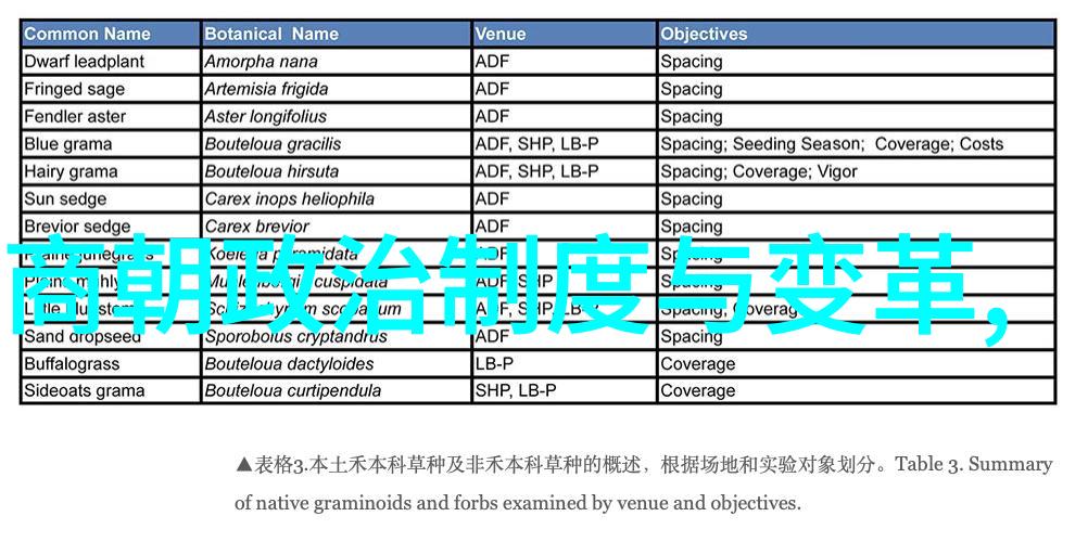 传奇中的悲剧土木堡围城记述疑问