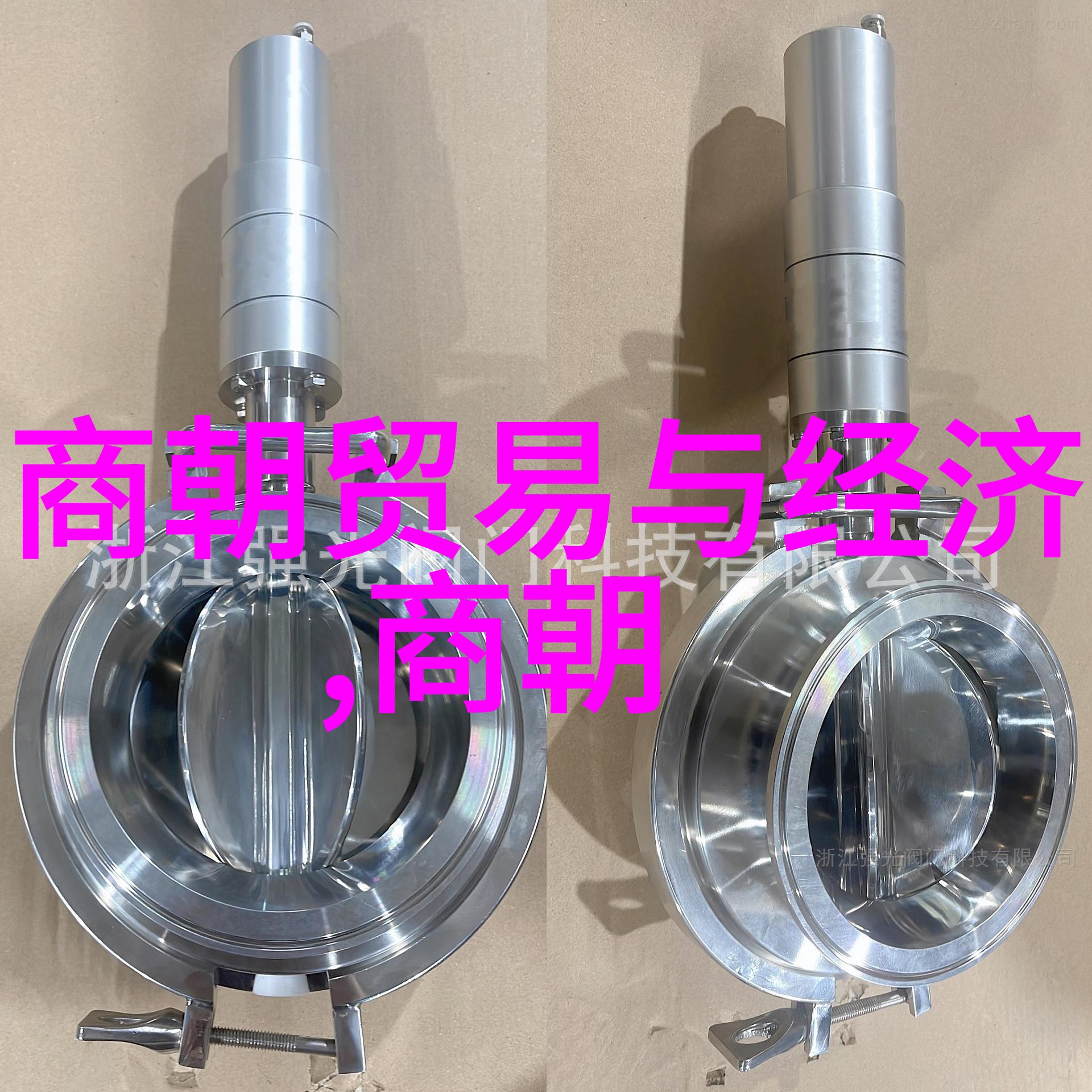 明朝朱允炆下落真相-追踪历史足迹揭秘明英宗的消失之谜