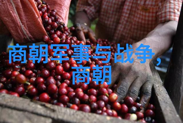 朱棣在当时是否存在足够的支持来成为太子候选人
