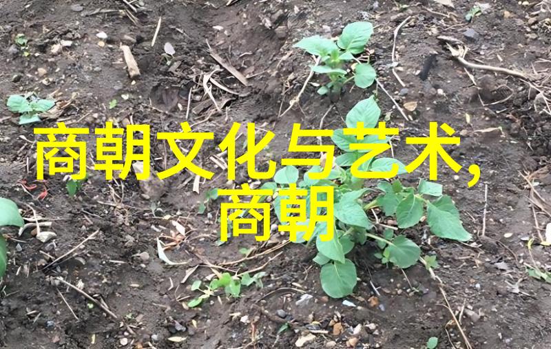 明朝历代走进那段古老辉煌的岁月