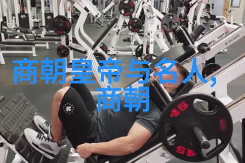 明朝岁月辉煌与变迁的长河