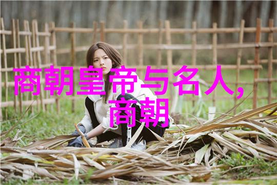 中国明朝一览表我眼中的明朝一段辉煌的历史