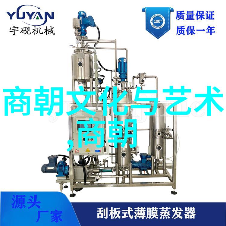 政治上的过往与现世试析在乾隆时期人们如何回避谈论到之前一个重要皇帝