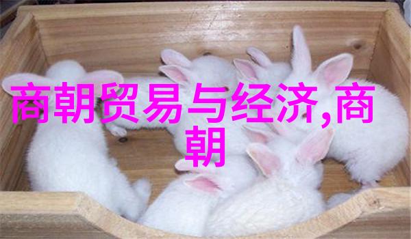 主题-刘伯温晚年凄凉之谜命运的逆转与历史的遗忘
