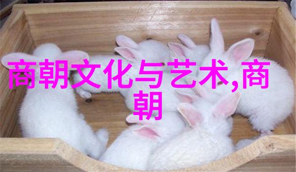 明朝覆灭前的预兆考察朱瞻基生命中的关键时刻