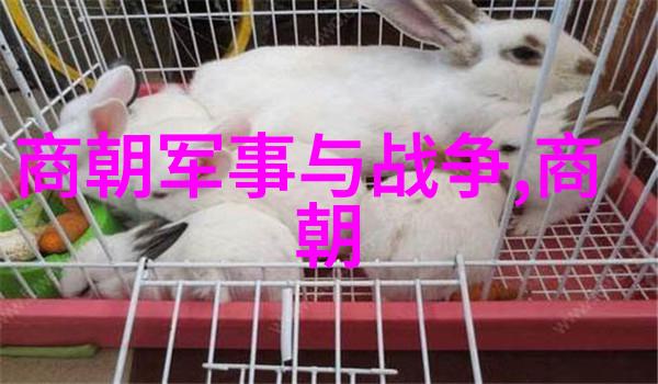 龙凤呈祥明朝英杰之巅