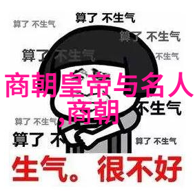 中国历史电视剧拍摄的奇观为什么元朝被忽略