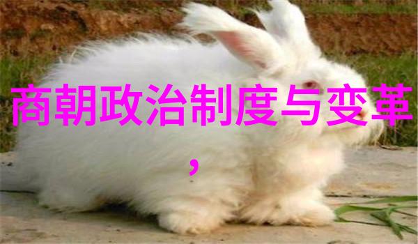 明朝对外交政策及其影响从战争到贸易谈判