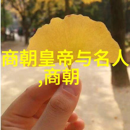 土木堡之战死亡疆域历史上的那场惨烈战役