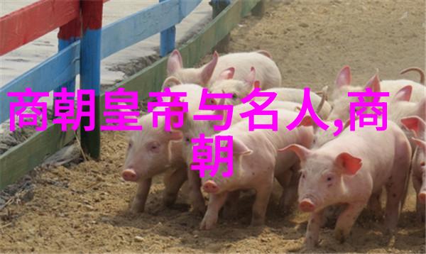 盛世再现宋朝历史的数字化探索