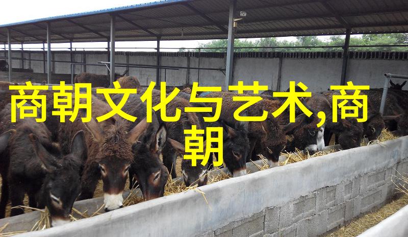 探秘明朝风云历史著作推荐