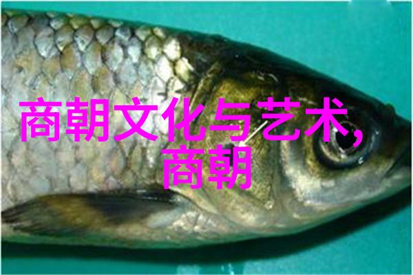 明朝的光与影-明朝真的很黑暗吗历史真相探究