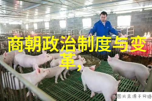 探寻历史之谜刘伯温的真实归宿与最终命运