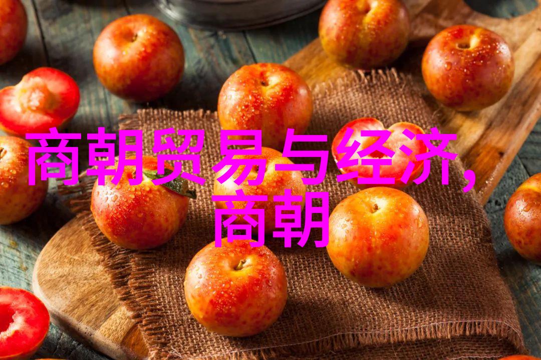 元代历史背景简介征服与融合下的民族国家形成过程