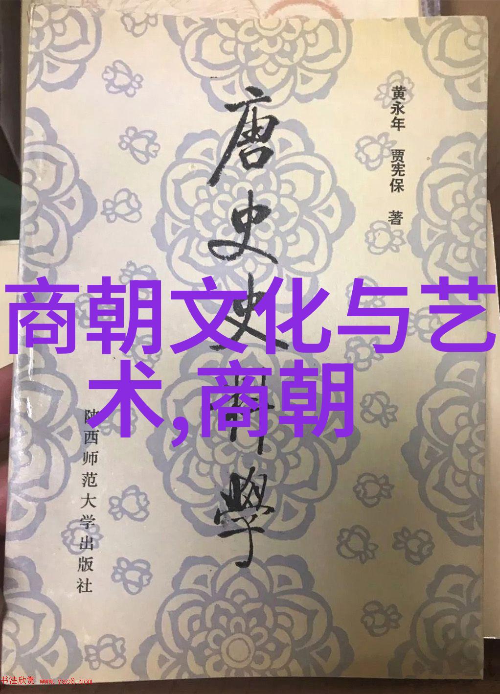 宋代社会变化的多维面貌从政治经济到文化艺术的演变