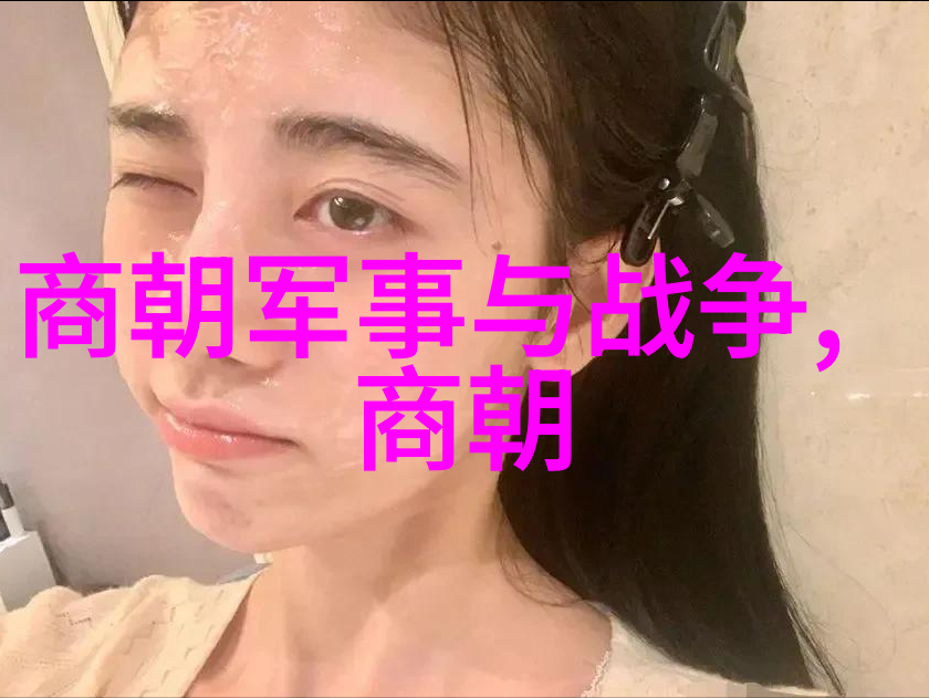 清朝的太宗皇帝继承与革新之路