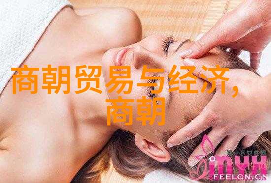 中国历代王朝考察从黄帝至清朝的政权演变与社会转型
