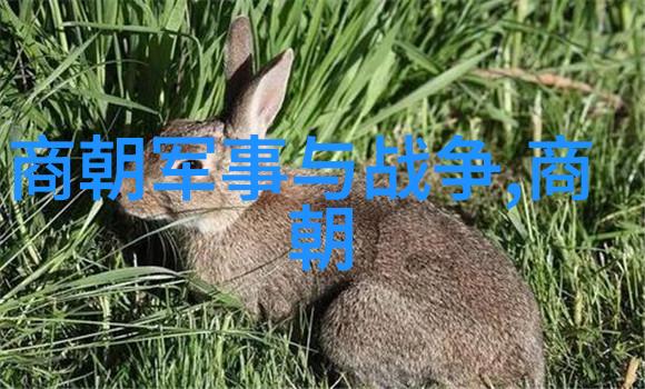 始兴自然中的武术运动防护
