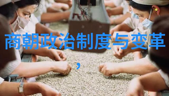 明朝历代政权变迁与社会经济演变的系统探究