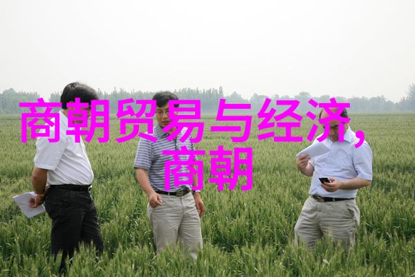 回望往昔共鸣于历史巨人的故事揭秘亚当斯密的经济学革命