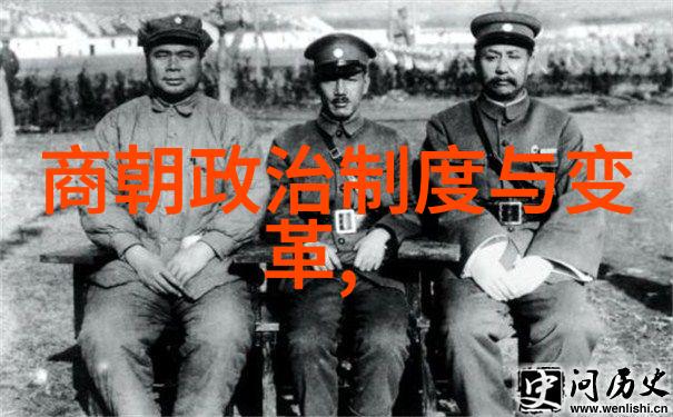 多尔衮登基之谜清兵入关背后的政治博弈