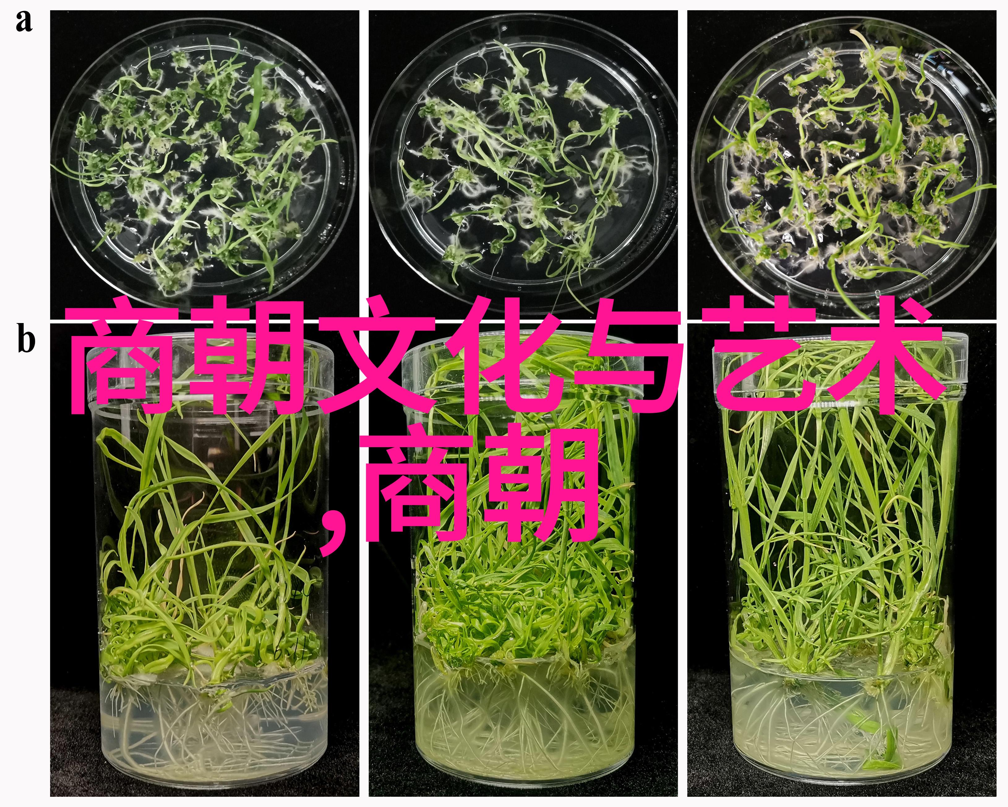 历史上的朱瞻基有多狠逆袭皇帝的沉重之手