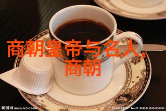 历史变迁-不屈疆土清朝的最后一搏