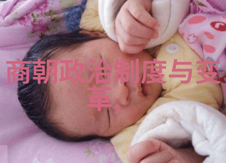 明朝对外交关系中的人物有哪些