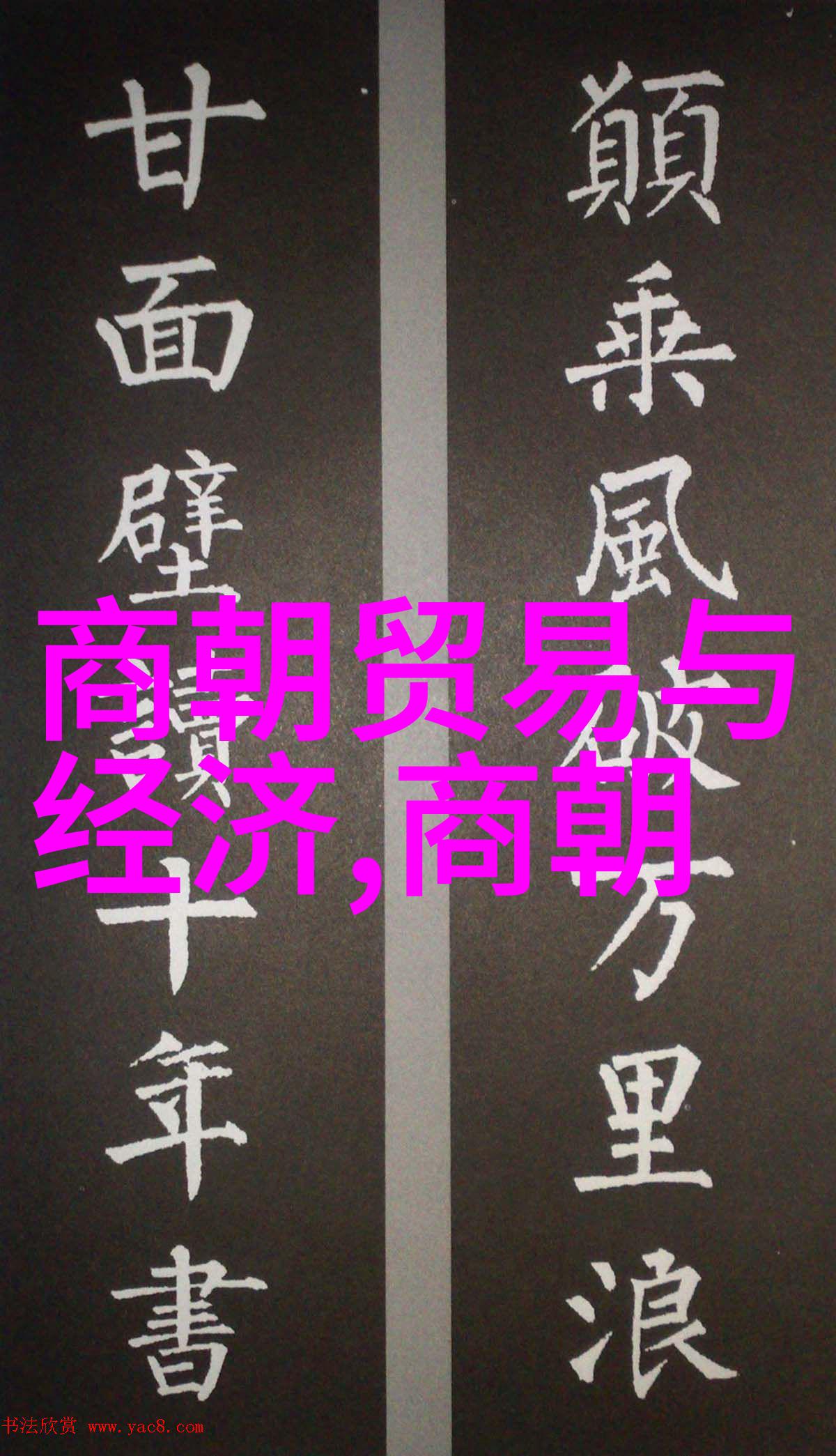 温柔的探索亲昵与触碰的艺术