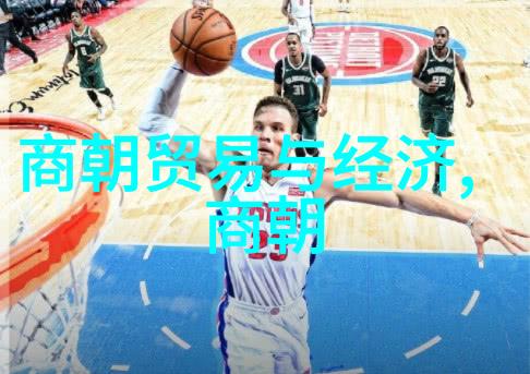 宰相系列宋朝政治制度与变革中的旷世奇才还是千年佞臣