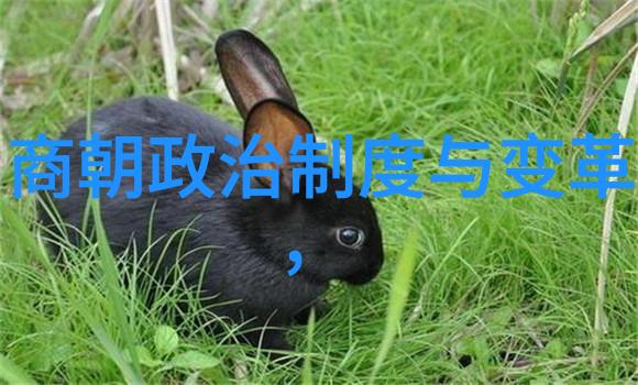明朝那些事精彩回顾历史上的明朝兴衰沿革