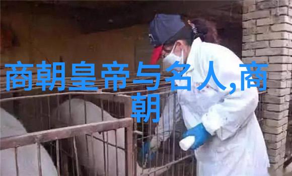 明亡考政治腐败与中央集权的衰弱