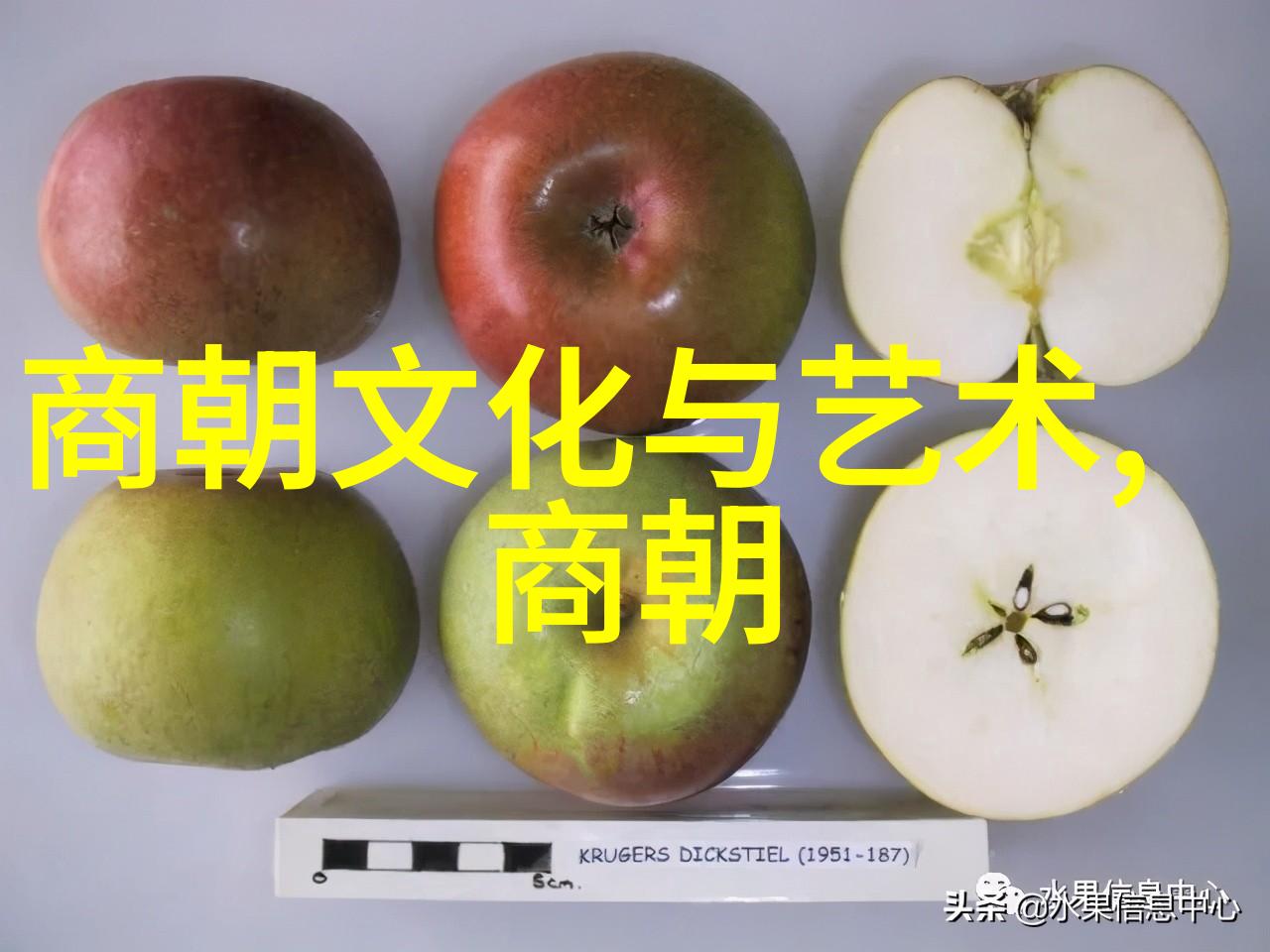 明朝怪事考揭秘神秘现象与超自然事件的历史根源