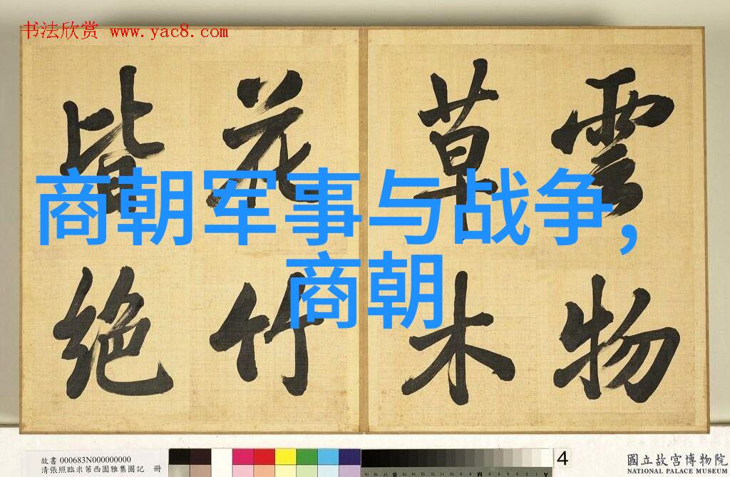 御医之谜帝影下的暗杀